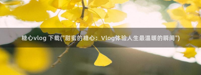 糖心volg是什么