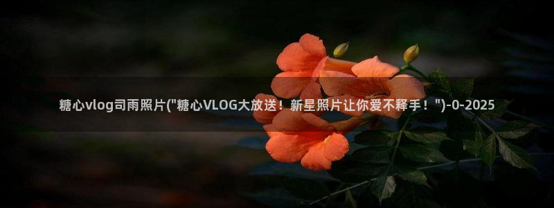 糖心valg