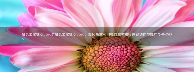 糖心vlgo官网破解版免费下载