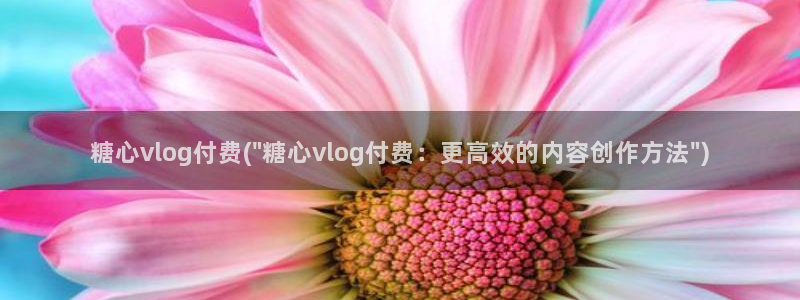 糖心成年版糖心vlog