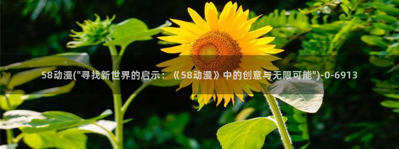 动漫小说
