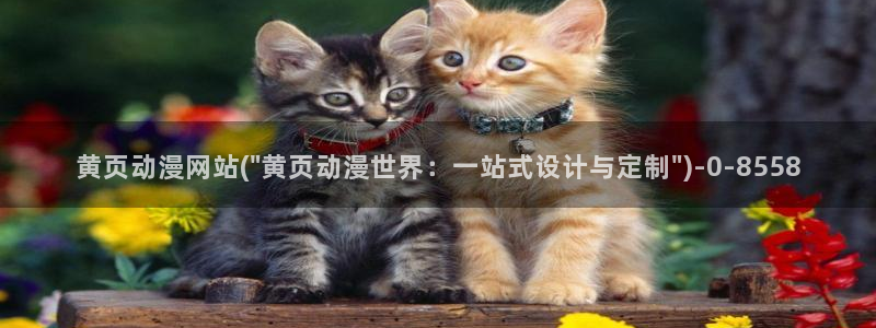 邪恶动漫